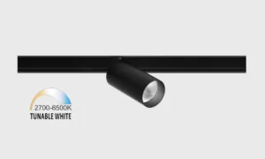 Akcentinis šviestuvas, dimeriuojamas TUB S 5W  6.3W, TW DIM: 2700K(393LM)-6500K(454LM) 06.0591.13.TW.BK