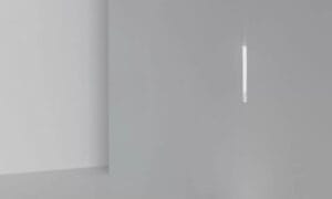 STEP