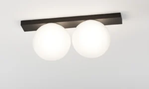 OONO ON 2