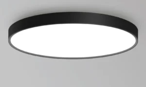 DISC