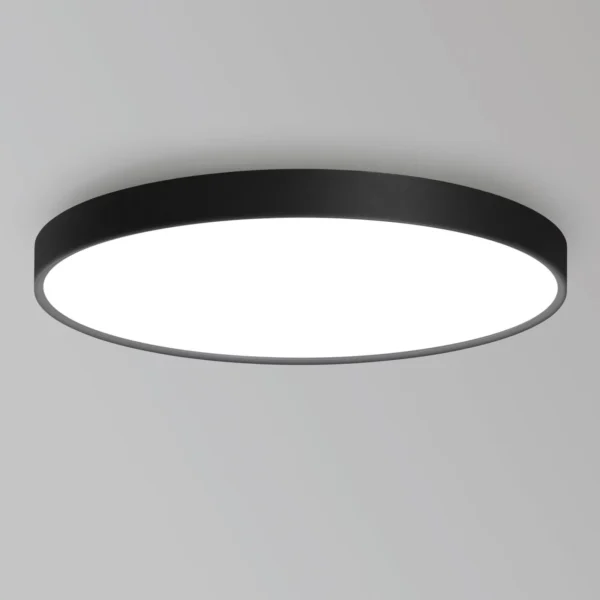 DISC