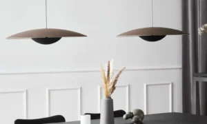 Pakabinamas  šviestuvas Ginger