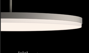 Lilibet